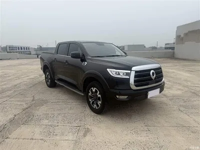 2019 Great Wall Pao 2.0T Automatic Gasoline 4WD Comfort GW4C20B, фото 3, лот 10246188