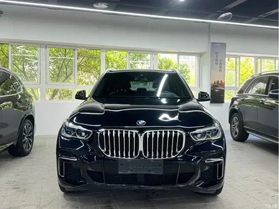 2022 BMW X5 Model xDrive 40Li M Sport Package, фото 2, лот 10463245