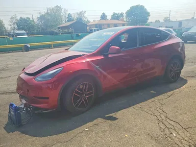 2024 TESLA MODEL Y, фото 1, лот 10853332