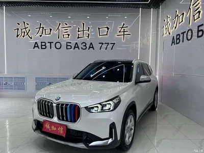 2023 BMW X1 sDrive20Li X Design Package, фото 1, лот 10400667