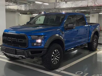 2019 Ford F-150 Raptor 3.5T Raptor Performance Enhanced Edition, фото 1, лот 10277833