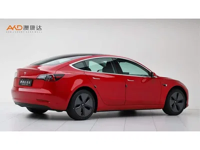 2019 Tesla Model 3 Standard Range Rear-Wheel Drive Upgrade, фото 3, лот 10354031