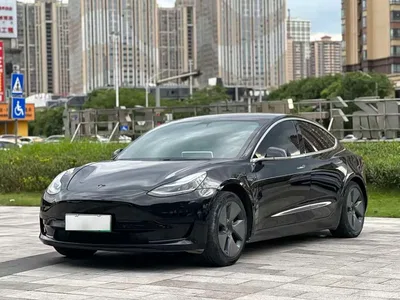 2020 Tesla Model 3 Standard Range Rear-Wheel Drive Upgrade, фото 1, лот 10366589