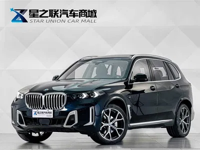2023 BMW X5 xDrive 30Li Premium M Sport Package, фото 1, лот 10304881