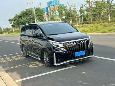 2021 GAC Trumpchi Trumpchi M8 Master Series 390T Ultimate Edition, фото 3, лот 10415512