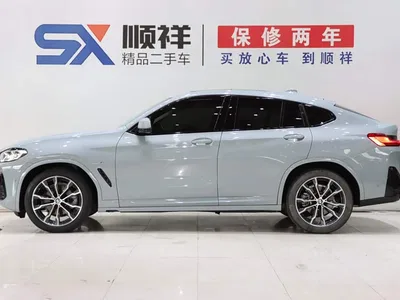 2022 BMW X4 xDrive 30i M Sport Package, фото 4, лот 10232304