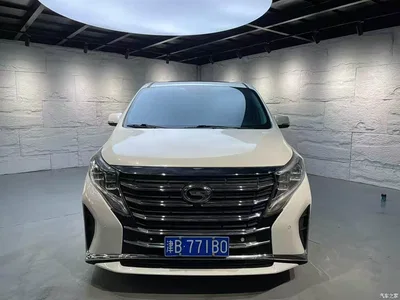 2023 GAC Trumpchi Trumpchi M8 Leading Series 390T Prestige Edition, фото 2, лот 10419014
