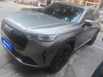2021 Haval H6 3rd Generation 2.0T Auto 2WD Max, фото 1, лот 10298448