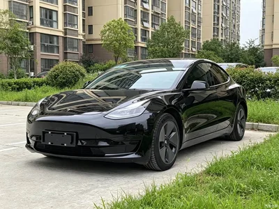 2021 Tesla Model 3 Standard Range Rear-Wheel Drive Upgrade, фото 1, лот 10351989