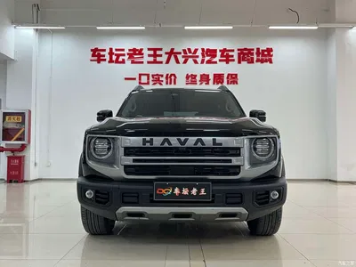 2024 Haval Big Dog 2.0T DCT Chinese Rural Dog Edition, фото 2, лот 10361807
