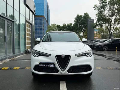 2017 Alfa Romeo Stelvio 2.0T 200HP Elite, фото 2, лот 10239857