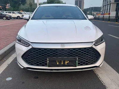 2023 BYD Qin PLUS Champion Edition DM-i 55KM Leading, фото 2, лот 11249331