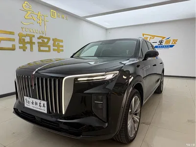 2021 Hongqi E-HS9 460km Flagship Comfort 6-seater, фото 1, лот 10393936