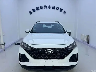 2021 Hyundai Beijing Hyundai ix35 2.0L Automatic 2WD GLS Leading Edition, фото 1, лот 10372900