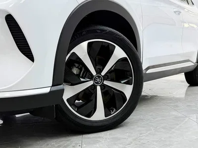 2021 BYD Song PLUS PHEV DM-i 51KM Honor, фото 3, лот 11242650