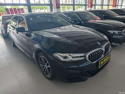 2022 BMW 5 Series New Energy Facelift 535Le M Sport Package, фото 3, лот 11137368