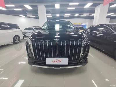 2024 Hongqi HS7 PHEV 2.0T PHEV 4WD Flagship Edition 6-seater, фото 2, лот 10287860