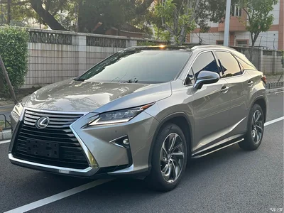 2016 Lexus RX 300 4WD Elegance Edition (China V), фото 1, лот 10684135