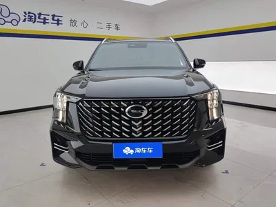 2025 GAC Trumpchi Trumpchi GS8 Pilot Series 2.0TGDI 2WD Luxury Edition 5-seater, фото 2, лот 10415600