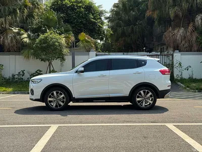 2020 Haval H6 2.0GDIT Automatic Platinum Champion Edition, фото 3, лот 10684959