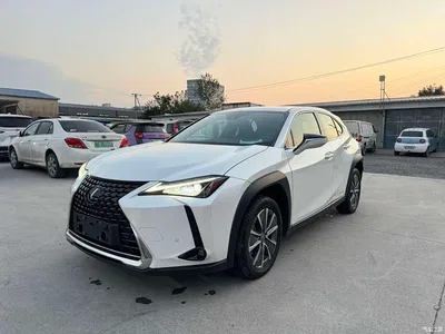 2020 Lexus UX Electric 300e Pure Enjoyment Edition, фото 1, лот 10405277