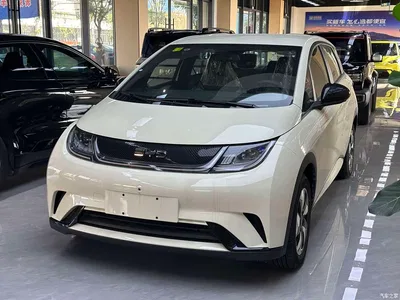 2025 BYD Dolphin 420km Freedom Edition, фото 1, лот 10396827