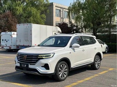 2019 Roewe RX5 MAX 300TGI Automatic 4G Connected Luxury Edition, фото 1, лот 10340172