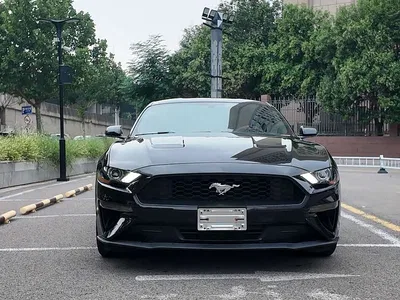 2020 Ford Mustang 2.3L EcoBoost, фото 2, лот 10280683