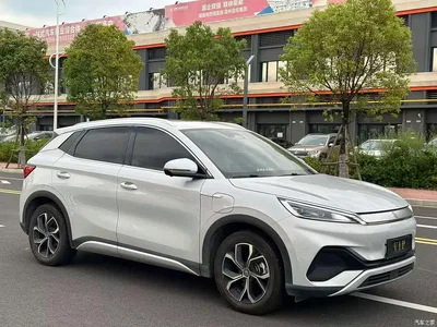 2024 BYD Yuan PLUS Glory Edition 430KM Advanced, фото 3, лот 10385624
