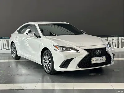 2020 Lexus ES 200 Excellence, фото 3, лот 10313077