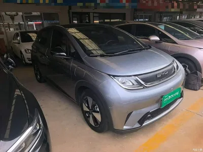 2023 BYD Dolphin 420km Fashion Edition, фото 4, лот 10389112