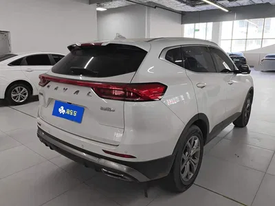 2021 Haval H6 Model National Trend Edition 1.5T Auto Champion, фото 3, лот 11566208