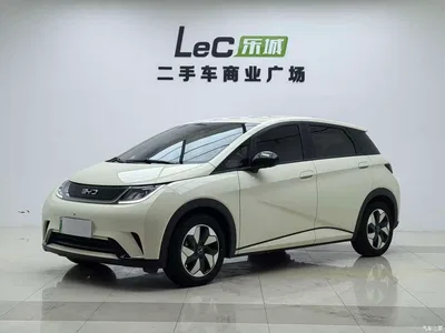 2025 BYD Dolphin 420km Freedom Edition, фото 1, лот 10257141