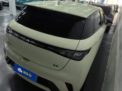 2024 BYD Dolphin Glory Edition 420km Freedom Edition, фото 3, лот 10251371