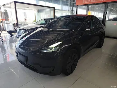 2024 Tesla Model Y Rear-Wheel Drive Version, фото 2, лот 11564956
