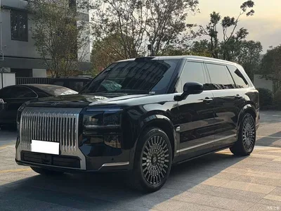 2025 ZEEKR 9X Max Edition, фото 1, лот 11182678