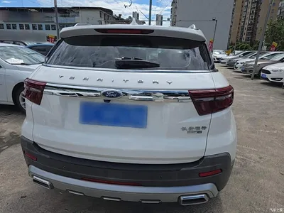 2020 Ford Territory S EcoBoost 145 CVT Platinum, фото 4, лот 10282465