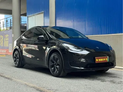 2024 Tesla Model Y Rear-Wheel Drive Version, фото 3, лот 11475948