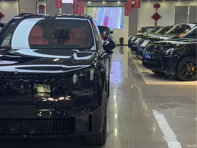 2025 Lynk & Co 900 2.0T Ultra, фото 3, лот 10316725