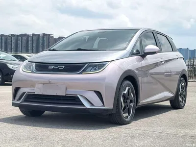2021 BYD Dolphin Model 405km Fashion Edition, фото 1, лот 11136219