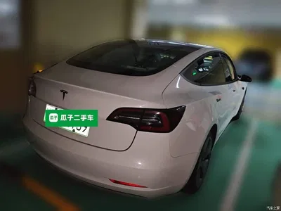 2020 Tesla Model 3 Standard Range Rear-Wheel Drive Upgrade, фото 4, лот 10612607