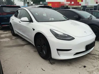 2021 Tesla Model 3 Standard Range Rear-Wheel Drive Upgrade, фото 3, лот 11133028