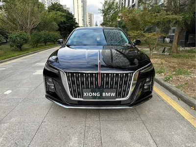 2023 Hongqi H5 1.5T DCT Smart Connect Flag Rhythm, фото 1, лот 10415765
