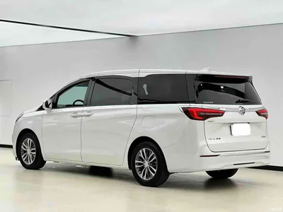 2020 Buick GL8 Model ES Landglory 653T Comfort, фото 3, лот 10766683
