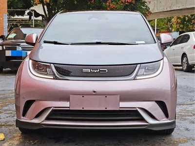 2023 BYD Dolphin 401km Knight Edition, фото 3, лот 11567928