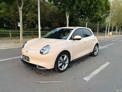 2023 Ora Good Cat 401km Standard Range Honor Edition (LFP), фото 1, лот 10447812