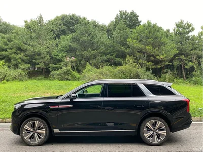2021 Hongqi E-HS9 460km Flagship Comfort 6-seater, фото 3, лот 11565831