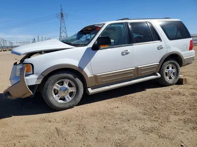 2004 FORD EXPEDITION EDDIE BAUER, фото 1, лот 10982967
