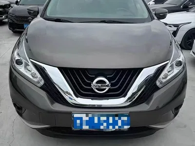 2019 Nissan Murano 2.5L XL 2WD Smart Connect Luxury (China V), фото 4, лот 10355361
