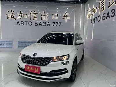 2022 Škoda Karoq TSI280 Premium Edition, фото 1, лот 10349413